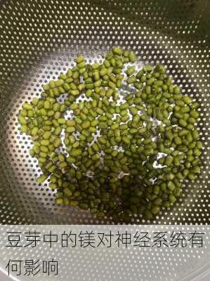 豆芽中的镁对神经系统有何影响