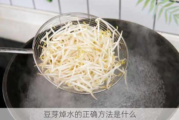 豆芽焯水的正确方法是什么