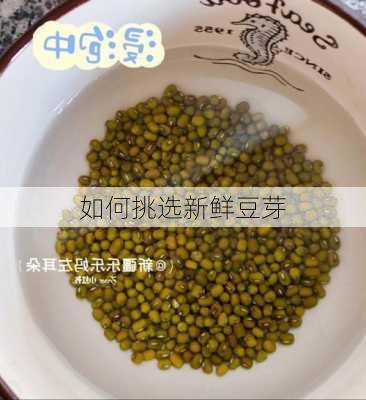 如何挑选新鲜豆芽