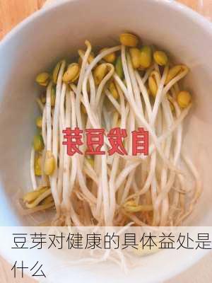 豆芽对健康的具体益处是什么