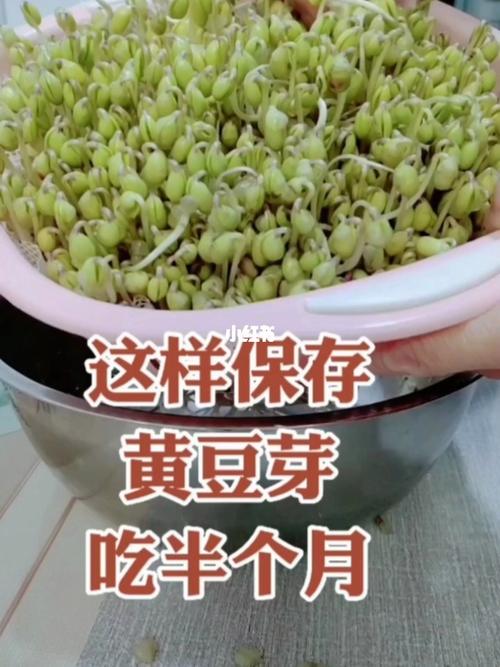 如何长期保存豆芽