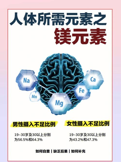 镁在人体内的功效