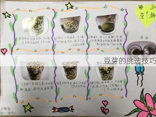 豆芽的挑选技巧