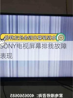 SONY电视屏幕排线故障表现