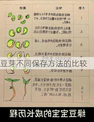 豆芽不同保存方法的比较