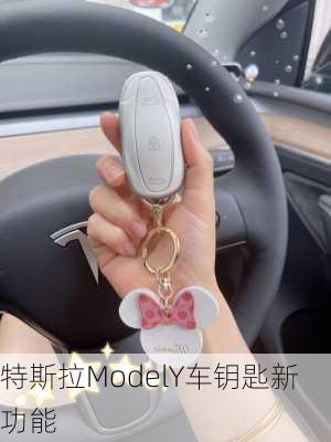 特斯拉ModelY车钥匙新功能