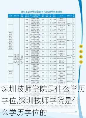 深圳技师学院是什么学历学位,深圳技师学院是什么学历学位的