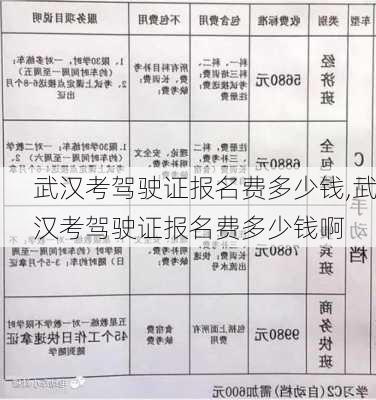 武汉考驾驶证报名费多少钱,武汉考驾驶证报名费多少钱啊