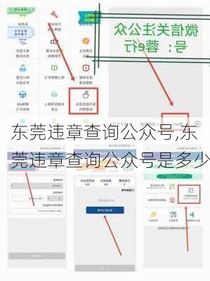 东莞违章查询公众号,东莞违章查询公众号是多少