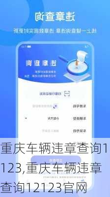 重庆车辆违章查询12123,重庆车辆违章查询12123官网