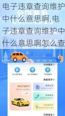 电子违章查询维护中什么意思啊,电子违章查询维护中什么意思啊怎么查