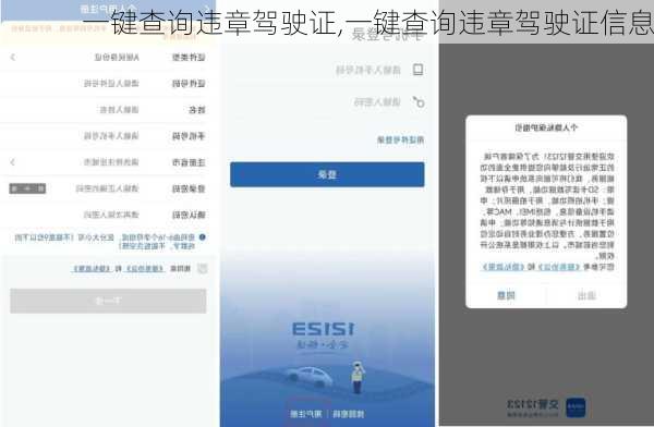 一键查询违章驾驶证,一键查询违章驾驶证信息