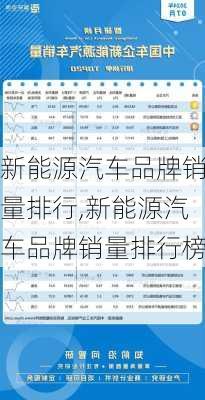 新能源汽车品牌销量排行,新能源汽车品牌销量排行榜