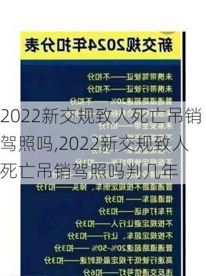 2022新交规致人死亡吊销驾照吗,2022新交规致人死亡吊销驾照吗判几年