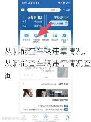 从哪能查车辆违章情况,从哪能查车辆违章情况查询