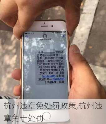 杭州违章免处罚政策,杭州违章免于处罚