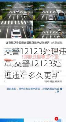 交警12123处理违章,交警12123处理违章多久更新