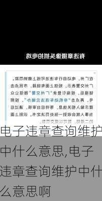 电子违章查询维护中什么意思,电子违章查询维护中什么意思啊