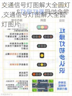 交通信号灯图解大全圆灯,交通信号灯图解大全圆灯图片