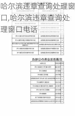 哈尔滨违章查询处理窗口,哈尔滨违章查询处理窗口电话